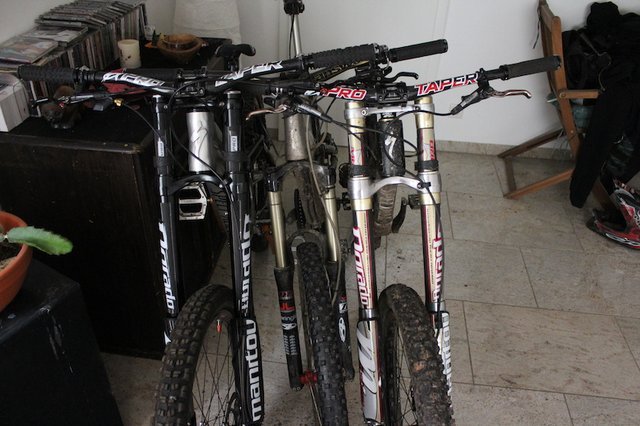 p4pb9076953.jpg