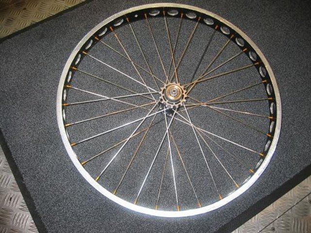 145_45971.JPG