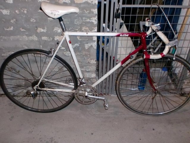 9693004zgm.jpg