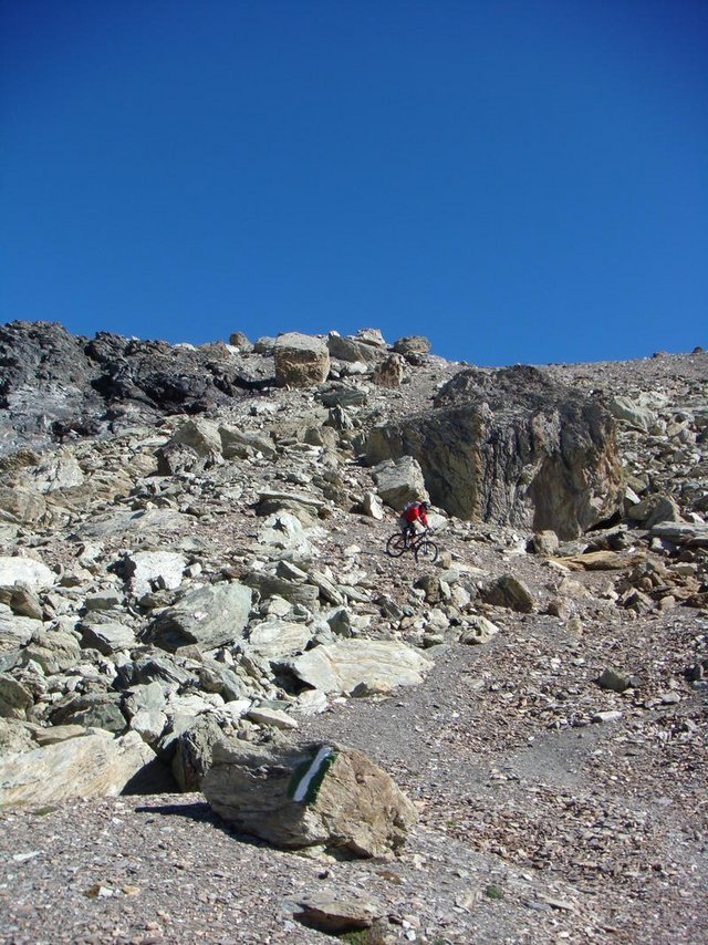 5071952.jpg