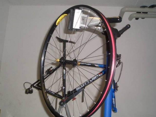 CIMG1800.JPG