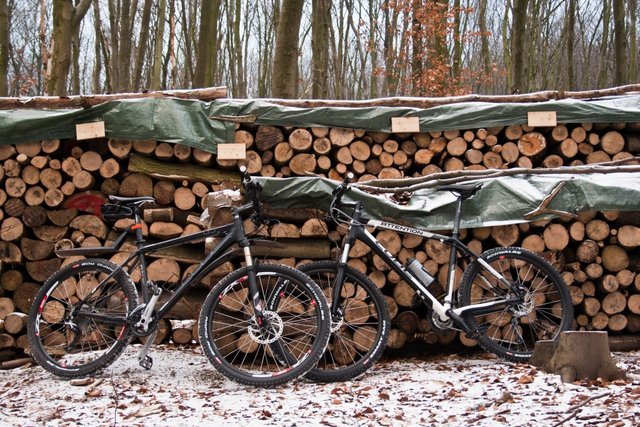 MTBnammerwald1.jpg