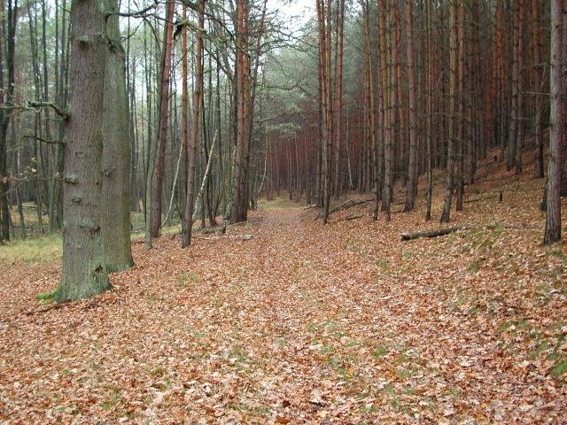 DSCN3108.jpg