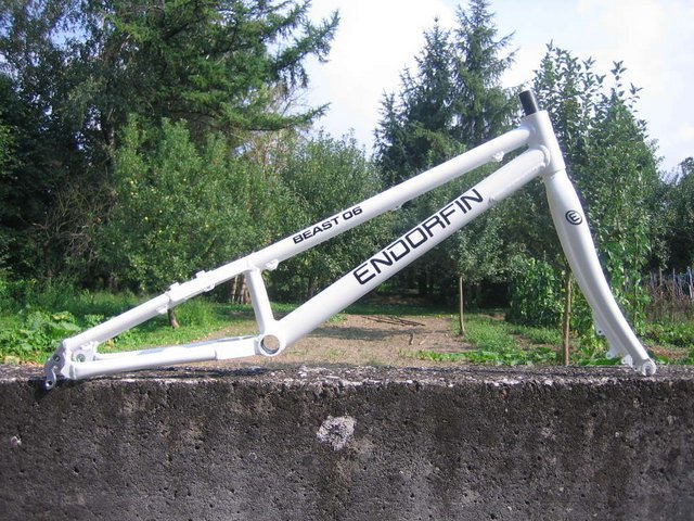 forum_1_endorfin.JPG