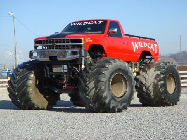 uh60967,1269358649,wildcat1.JPG