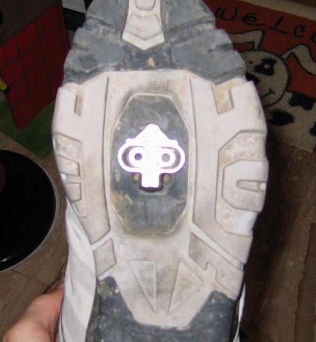 3152796.jpg