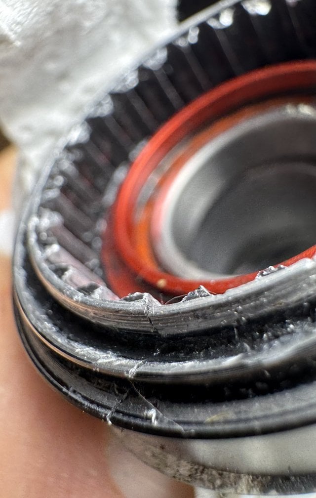 img_6258-jpeg.2261867