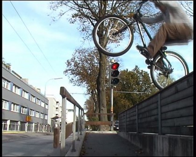 ampel_edited.jpg
