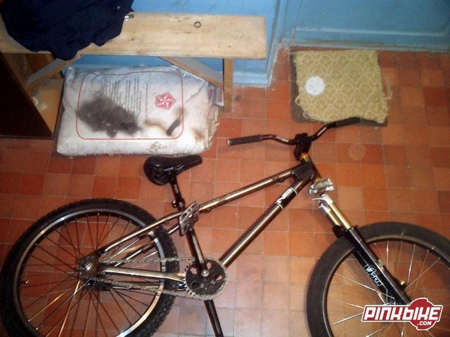 pbpic530487.jpg