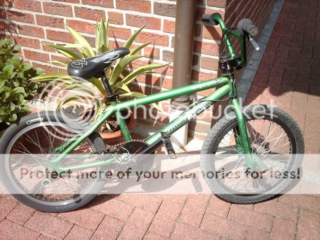 IMAG0050.jpg