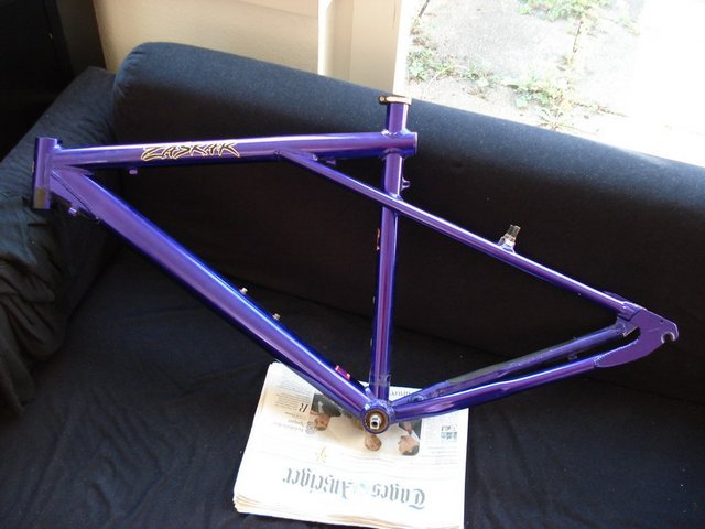 zaskar_violett.jpg