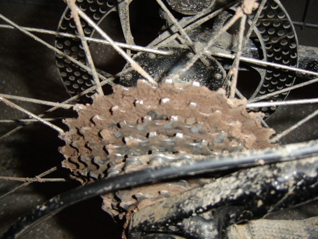 dreck003.jpg
