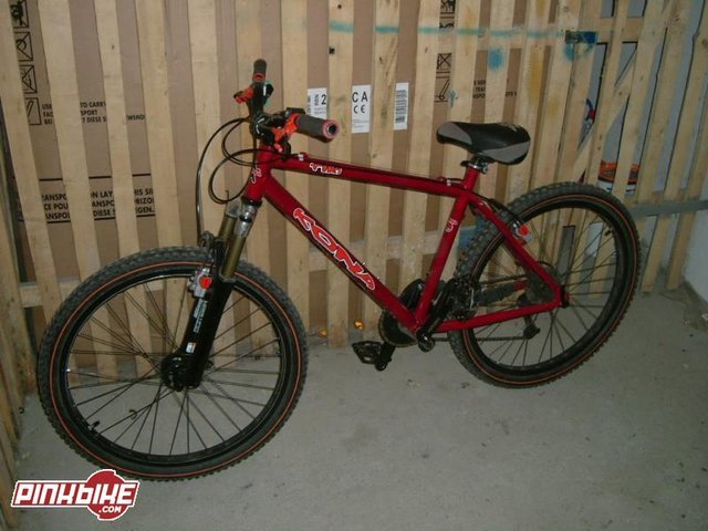 pbpic721338.jpg