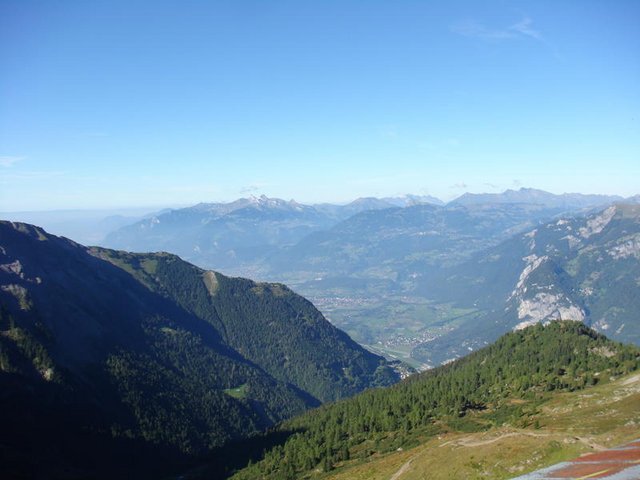 5195878.jpg