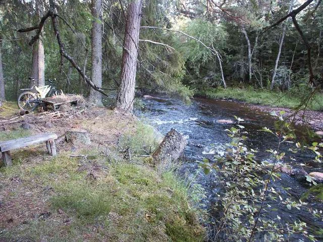 8grillenoderflussfurt.jpg
