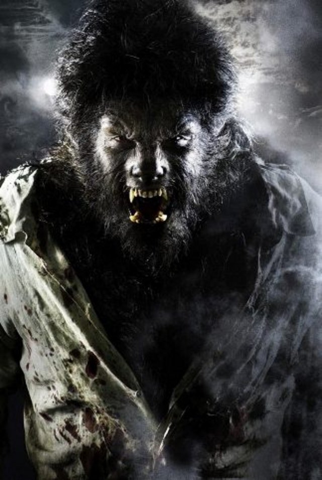 the20wolfman202009.jpg