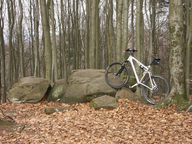 web_PICT0007.JPG