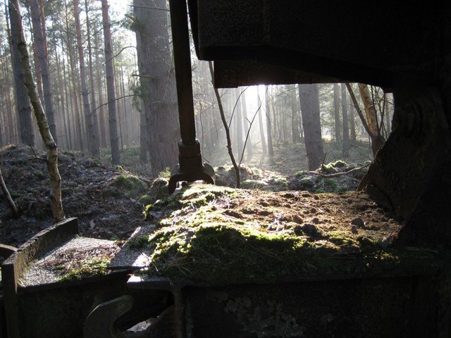 IMG_3286kl.jpg