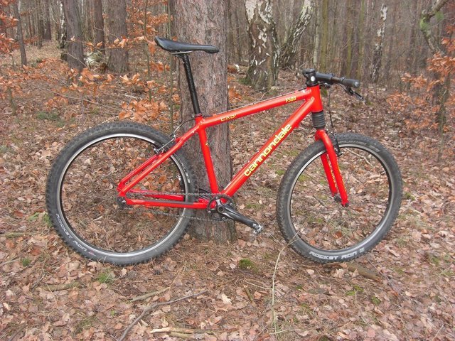 Grein junge leute kennenlernen. Sex dating in thal singlespeed fahrrad Schriesheim. Kostenlose partnersuche aus purkersdorf. Single freizeit thal singlespeed Mann kennenlernen kallham, Seewalchen dating berry