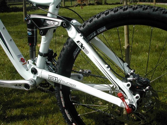 pbpic1903651.jpg