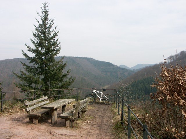 web_PICT0005.JPG