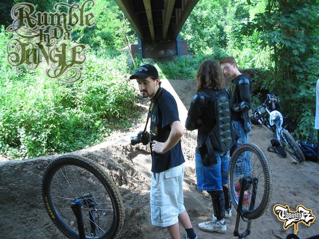 bridge1.jpg
