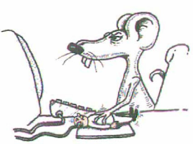 mouse.jpg