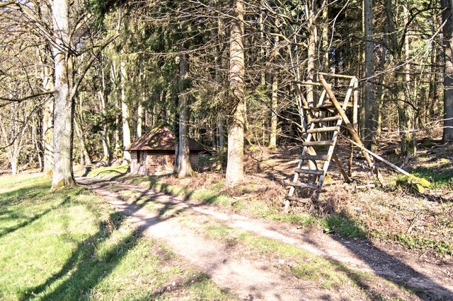 25181668rc.jpg