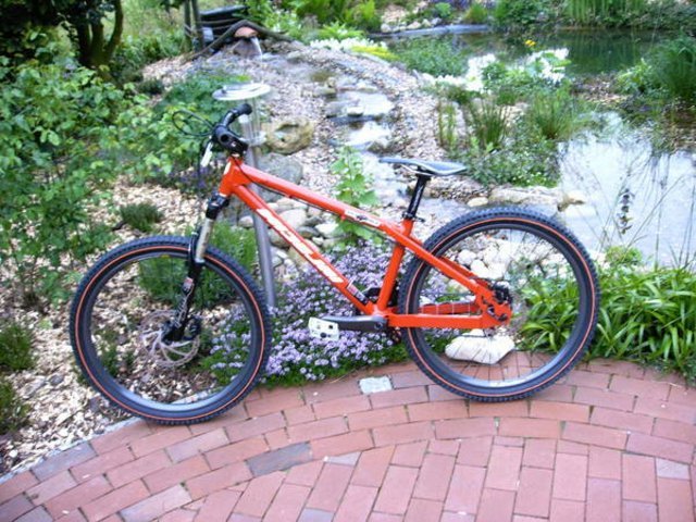 IMAG00016.JPG