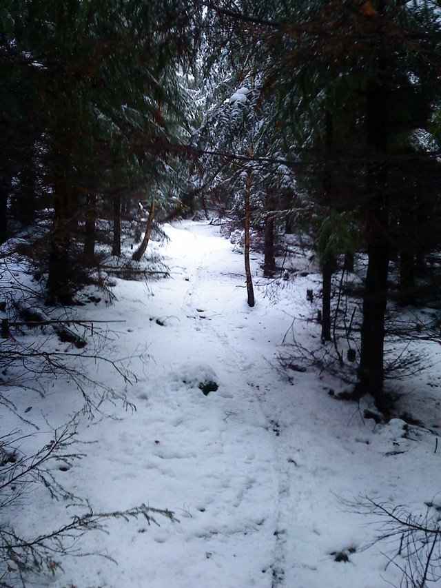 snow_02.JPG