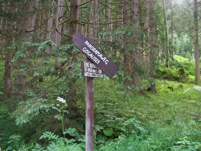 2669859729_cbb126736c_b.jpg