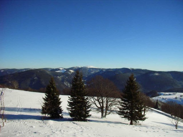 RIMG0153.JPG