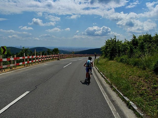 cf6xxp0403h358tfb.jpg