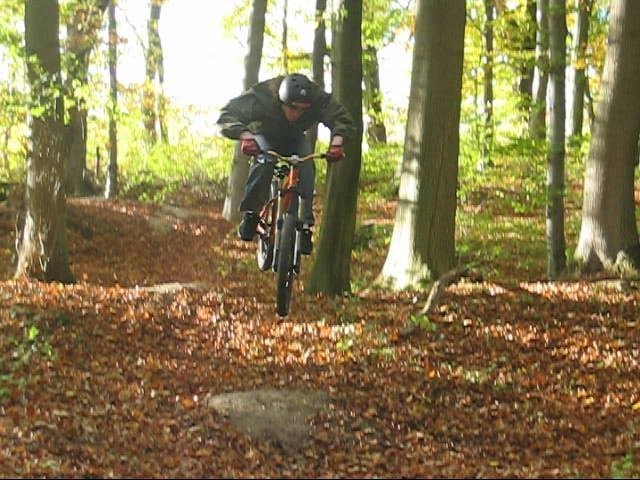 PDVD_004.JPG