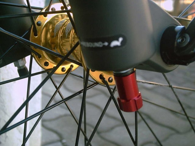 PICT000622.JPG