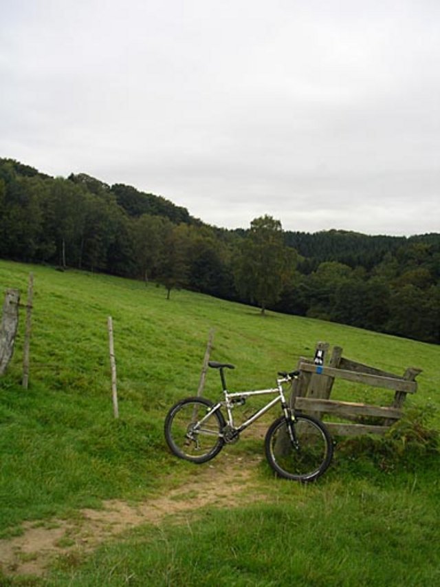 IMGP0860.jpg