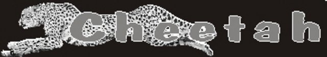 cheetah.jpg