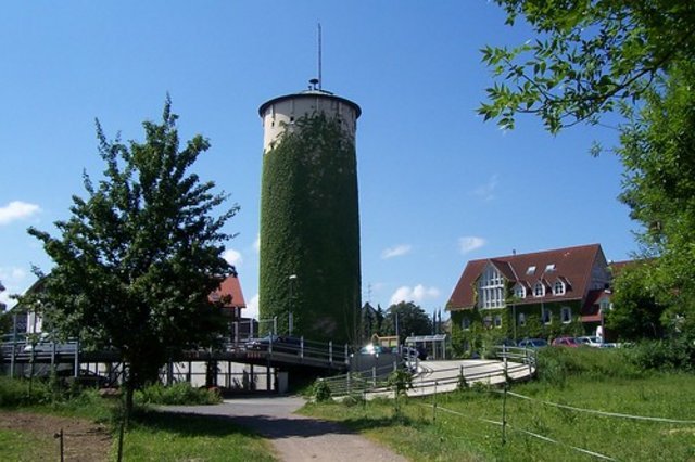 3578803533_445dcd7d45.jpg