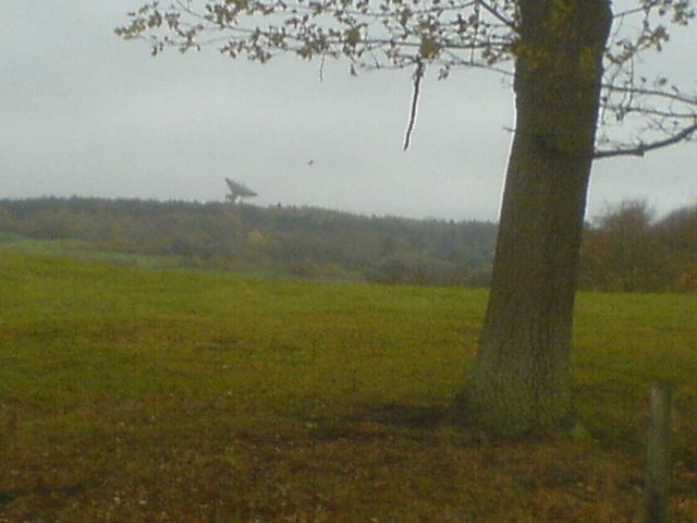 DSC000561.JPG