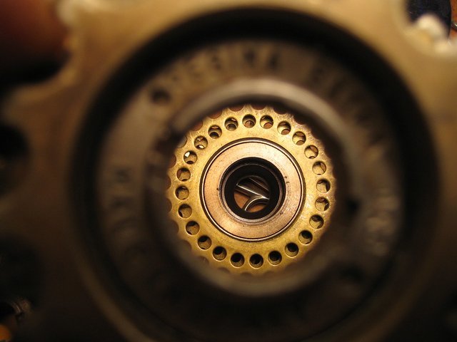 4623541540_90ab1ec6f0_b.jpg