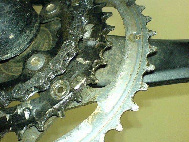DSC00778.JPG