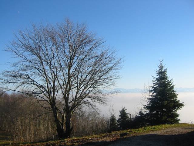 100-0018_IMG.jpg