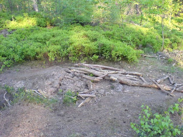 DSC00793.JPG