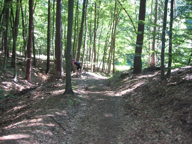 IMG_8667.jpg