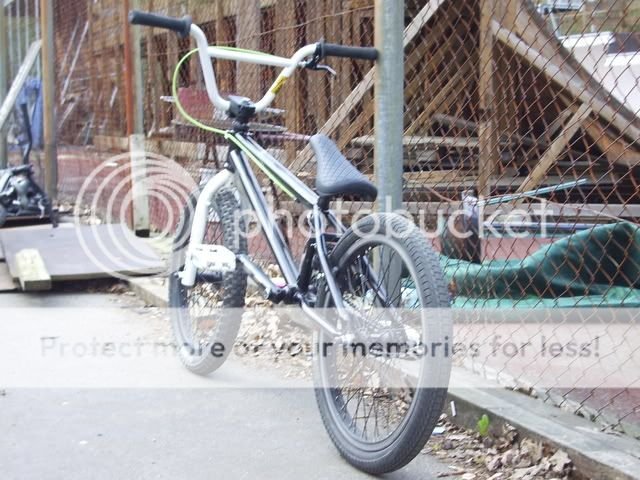 IMGP3613.jpg