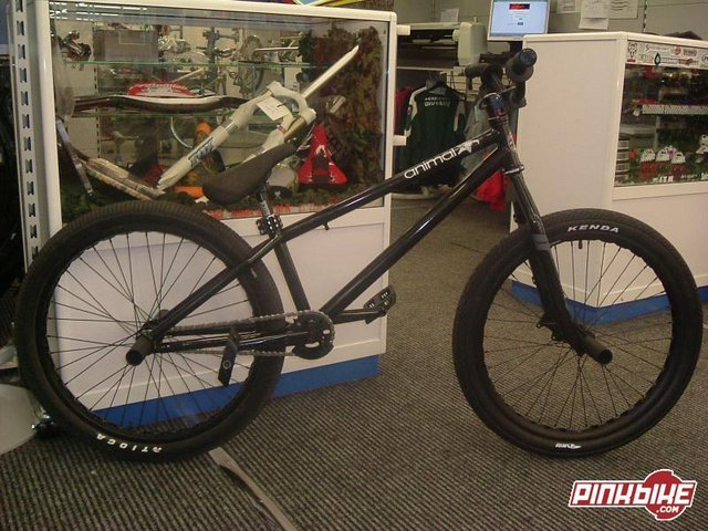 pbpic1174404.jpg