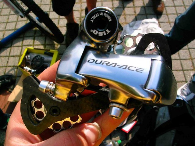 260073001_d4442755af_b.jpg