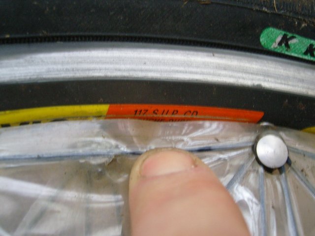 p4pb7673614.jpg