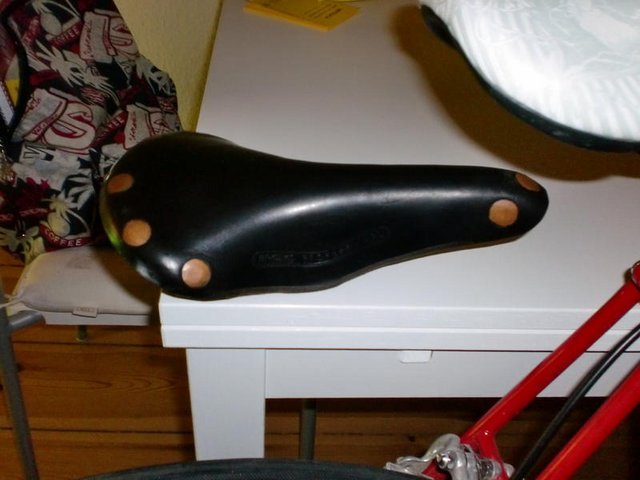 10555229mk.jpg