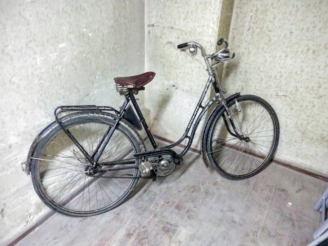 25551278gy.jpg